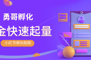 勇哥·小红书撸金快速起量陪跑孵化营视频