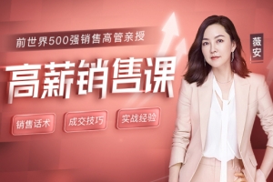 薇安 18节高薪销售课音频
