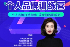 张萌萌姐个人品牌训练营课程视频
