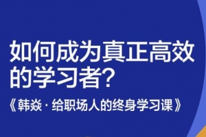韩焱·给职场人的终身学习课 如何成为真正高效的学习者