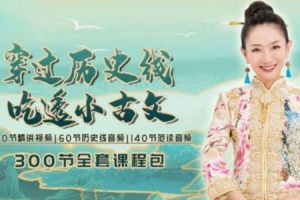 王芳《穿过历史线，吃透小古文》