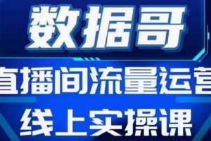 数据哥流量运营线上实操课