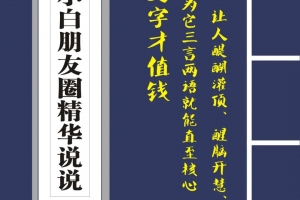 毛小白朋友圈1200条说说精华