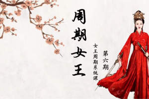 低吸女王人气龙头《女王交易系统课》第六期