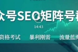 高鹏公众号SEO矩阵项目