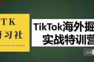 TK研习社·TikTok海外掘金实操特训营