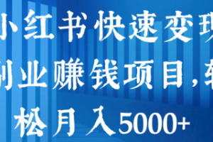 小红书快速变现副业赚钱项目，轻松月入5000+