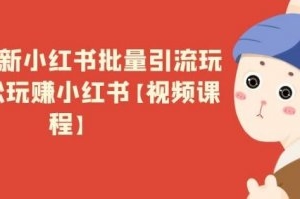 2021最新小红书批量引流玩法，轻松玩赚小红书