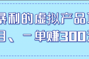暴利的虚拟产品项目，一单赚300元