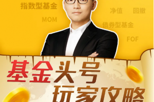 基金头号玩家攻略，21天实战训练营