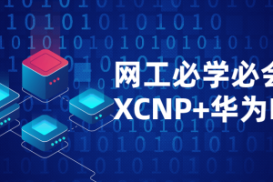 网工必学必会课程XCNP+HCIP