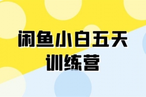 卓让闲鱼小白五天训练营，每天一小时，轻松赚钱快人一步