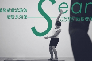 任劲松-精微能量流瑜伽进阶系列课