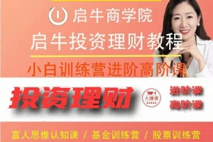 启牛进阶课加高阶课全套