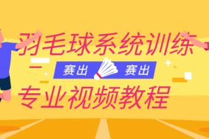 羽毛球系统训练专业视频教程
