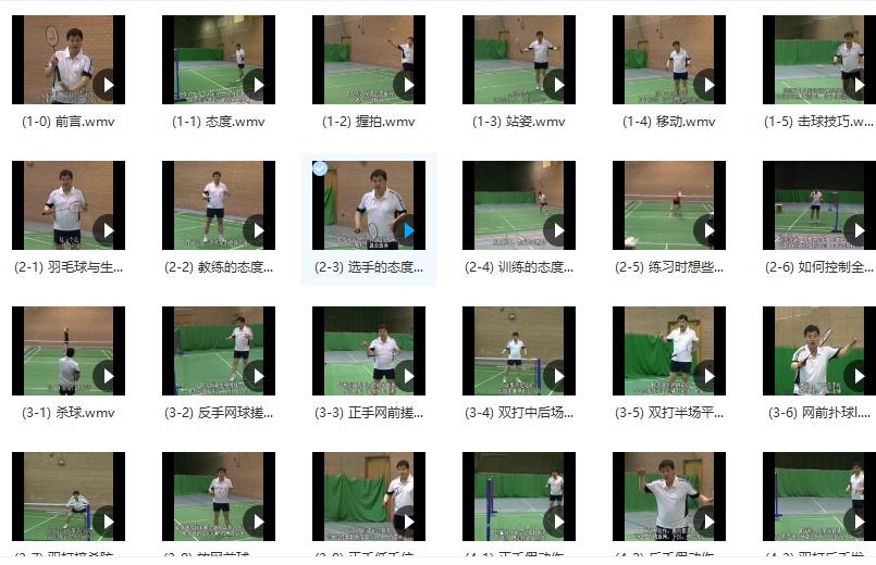 羽毛球系统训练专业视频教程