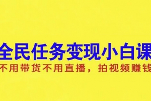 全民任务变现小白课，拍视频赚钱
