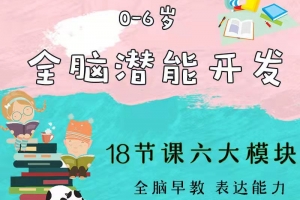 0-6岁儿童全脑潜能开发教程