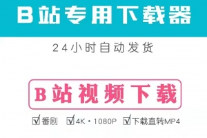 b站专用视频下载器，亲测可用