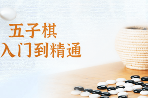 五子棋从入门到精通视频课