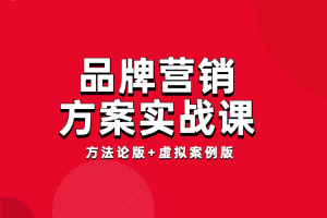 品牌营销方案实战课:8小时学会12大类型方案