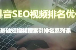 零基础短视频搜索排名课《抖音seo视频排名优化》