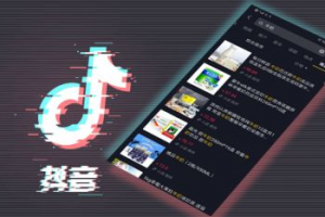 D1G·抖音小程序项目，价值990元