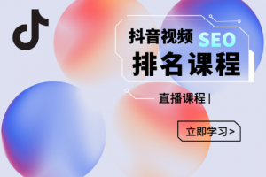 森淼·抖音SEO排名引流变现