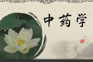 中药学理论知识32讲