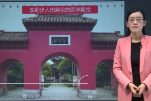 伤寒论24天精讲营视频