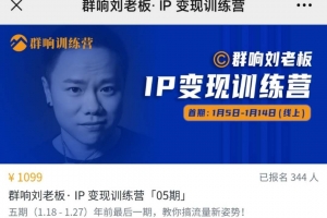 群响 IP变现训练营「05期」视频