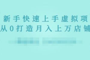 2022年虚拟项目实战指南，新手从0打造月入上万店铺