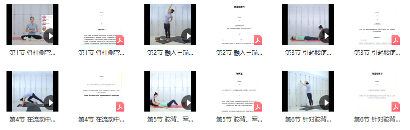 瑜伽理疗矫正之脊柱篇系列课 视频+笔记 赵艳娟