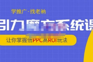 老衲引力魔方系统课，让你掌握低PPC高ROI玩法
