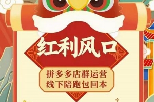 左右电商拼多多无货源店群玩法