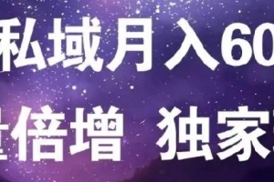 原力网赚粉月入6万私域流量倍增独家玩法