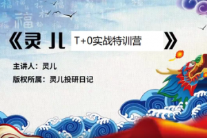 灵儿投研日记《T+0实战特训营》含指标