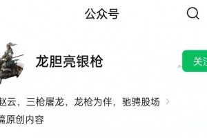 枪哥 龙胆亮银枪 如何发现机会∶四维复盘法 复盘心法视频26集