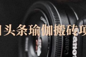 今日头条瑜伽搬砖项目，单号一天几十收入