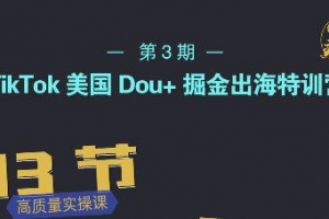TIKTOK美国DOU+掘金出海特训营