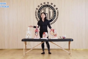 李沐子 盆底肌 内脏筋膜 10节