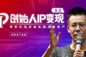 波波来了创始人IP变现8.0