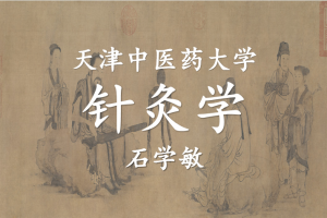 石学敏-针灸学 天津中医药大学 123讲