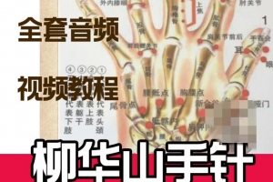 柳华山手针教学-民间中医技法研究会柳华山手针讲课音频近100集