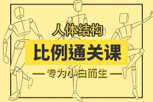 【小粉菇】人体结构与比例初级入门之动漫绘制基础课程