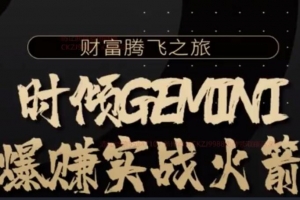 时倾Gemini的爆赚实战火箭班