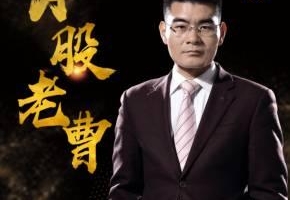 曹茂桂突击训练营，股票技术分析初阶课