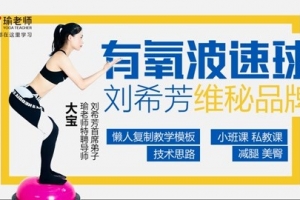 刘希芳大弟子大宝 维秘波速球大全有氧套路精品课