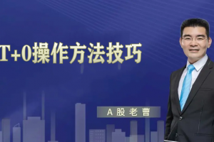 曹茂桂股市秘笈日内T+0操作方法技巧