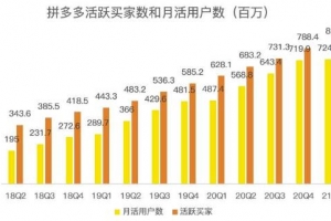 蓝海项目拼多多视频带货课【视频教程+软件】